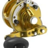 Avet HXJ 3-Speed Raptor MC Lever Casting Reel - Gold 2 Avet HXJ 3-Speed Raptor MC Lever Casting Reel - Gold -Fishing Journey Shop avet hxj three speed mc raptor lever drag casting reel gold 17691.1651262991.386.513