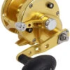 Avet JX 4.6 G2 1 Speed Reel - Gold (No Glide Plate)