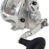Avet JX 4.6 G2 NGP Single Speed Reel - Silver (No Glide Plate) -Fishing Journey Shop avet jx 4 6 g2 rh si ngp reel 71379.1675796421