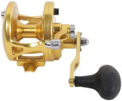 Avet JX 6.0 G2 1 Speed Reel - Gold (No Glide Plate) -Fishing Journey Shop avet jx 6 0 g2 rh gd ngp reel 27109.1670274062