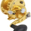 Avet JX 6.0 G2 1 Speed Reel - Gold (No Glide Plate)
