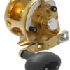 Avet JX G2 4.6 Single Speed Reel Gold -Fishing Journey Shop avet jx g2 4 6 single speed reel ave 0534 1 10732.1670273718.386.513