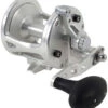 Avet LX 4.6 G2 NGP Single Speed Reel - Silver (No Glide Plate) -Fishing Journey Shop avet lx 4 6 g2 rh si ngp reel 67463.1673296218.386.513
