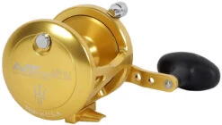 Avet LX 6.0 G2 1 Speed Reel - Gold (No Glide Plate) -Fishing Journey Shop avet lx 6 0 g2 rh gd ngp reel 14777.1651417660
