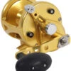 Avet LX 6.0 G2 1 Speed Reel - Gold (No Glide Plate) 2 Avet LX 6.0 G2 1 Speed Reel - Gold (No Glide Plate) -Fishing Journey Shop avet lx 6 0 g2 rh gd ngp reel 41884.1651417660