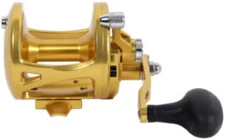 Avet LX 6.0 G2 1 Speed Reel - Gold (No Glide Plate) -Fishing Journey Shop avet lx 6 0 g2 rh gd ngp reel 89389.1651417661