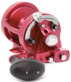 Avet MXL 6/4 MC Raptor 2-Speed Lever Drag Casting Reel Red -Fishing Journey Shop avet mxl 64 mc raptor 2 speed lever drag casting reel red 21361.1650991941