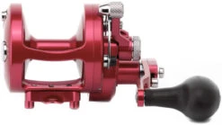 Avet MXL 6/4 MC Raptor 2-Speed Lever Drag Casting Reel Red -Fishing Journey Shop avet mxl 64 mc raptor 2 speed lever drag casting reel red 21852.1650991941