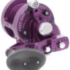 Avet SXJ 6/4 2-Speed Lever Drag Casting Reel - Purple -Fishing Journey Shop avet sxj 64 2 speed lever drag casting reel purple 03858.1650992200