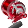 Avet T-RX 50W 2-Speed Lever Drag Big Game Reel - Red 1 Avet T-RX 50W 2-Speed Lever Drag Big Game Reel - Red -Fishing Journey Shop avet tr x 50w 2 speed lever drag big game reels ave 0022 7 01308.1651371429.386.513