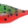 Bass Assassin Tiny Shad Lures -Fishing Journey Shop bass assassin tiny shad lures 18835.1651082439