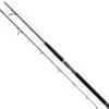 Daiwa Proteus Boat Spinning Rods (Old Models) -Fishing Journey Shop daiwa 2014 proteus boat spinning rods 95652.1651357077.386.513