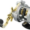 Daiwa Saltist Levelwind A Reels -Fishing Journey Shop daiwa saltist levelwind a reels 55810.1650807938
