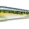 Nomad Design Sidekick Surface Iron Lure -Fishing Journey Shop nomad design sidekick surface iron lure 73852.1651409175.386.513