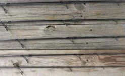 ODM 2021 Genesis Surf Spinning Rods -Fishing Journey Shop odm rods genesis saltwater surf spinning rods 94577.1651081251