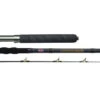 Penn Carnage II Boat Rods -Fishing Journey Shop penn carnage ii boat rods 83593.1651033447