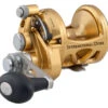 Penn International VISX Trolling Reels -Fishing Journey Shop penn international visx trolling reels 70463.1651034216
