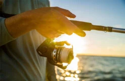 Penn Pursuit IV Spinning Reels -Fishing Journey Shop penn pursuit iv spinning reels 56136.1656656295