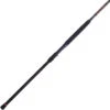 Penn Squadron III Surf Spinning Rods -Fishing Journey Shop penn squadron iii surf spinning rods 00508.1681843374