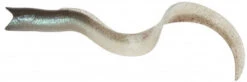 Savage Gear Real Eel Replacement Bodies - 8in - Ghost Herring
