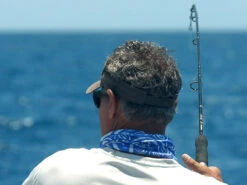 Shimano Terez Conventional Rods -Fishing Journey Shop shimano terez conventional fishing rods 83511.1661538644