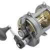 Shimano Tyrnos 2-Speed Reels 1 Shimano Tyrnos 2-Speed Reels -Fishing Journey Shop shimano tyrnos 2 speed reels 07599.1671550260