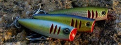 Tactical Anglers CrossOver Popper Lure -Fishing Journey Shop tactical anglers crossover popper lure 23446.1651327098