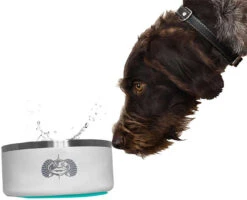 Toadfish Non-tipping Dog Bowl -Fishing Journey Shop toadfish non tipping dog bowl 12649.1651420342