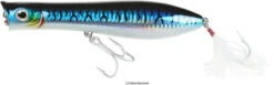 Tsunami XD Talkin Popper Lures -Fishing Journey Shop tsunami xd talkin popper lures 05981.1651332736