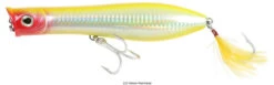 Tsunami XD Talkin Popper Lures -Fishing Journey Shop tsunami xd talkin popper lures 28612.1651332736