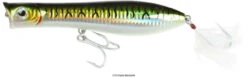 Tsunami XD Talkin Popper Lures -Fishing Journey Shop tsunami xd talkin popper lures 31722.1651332736