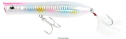 Tsunami XD Talkin Popper Lures -Fishing Journey Shop tsunami xd talkin popper lures 61340.1651332736